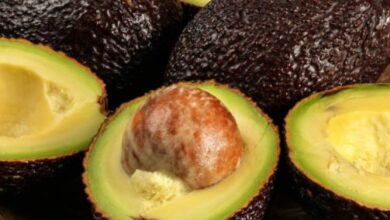 Was sind die Vorteile von Avocado